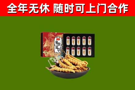 沈河区烟酒回收冬虫夏草礼盒.jpg
